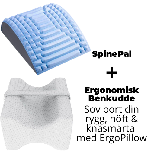 SpinePal + ErgoPillow